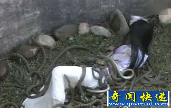 �Ŵ�ʮ�����֮��裺�û���ιʳ����