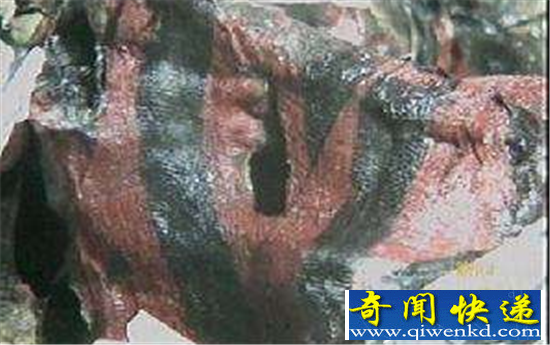 朱元璋墓竟然葬在水里 李自成为何拼命要毁掉水下古墓?