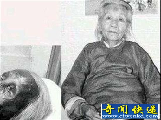 猫脸老太太事件曾一度被封杀 老太太变猫脸惊悚杀人事情始末