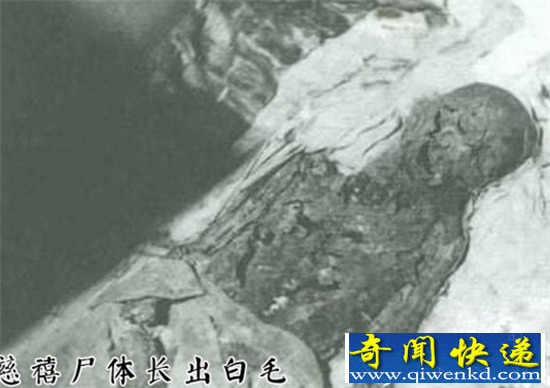 慈禧太后尸体长白毛 孙殿英打开慈禧墓发生可怕一幕
