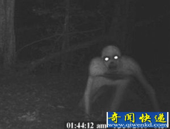 美国惊现无毛僵尸吓坏狩猎男子 类似人形双眼放光