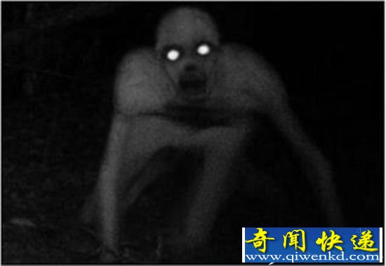 美国惊现无毛僵尸吓坏狩猎男子 类似人形双眼放光