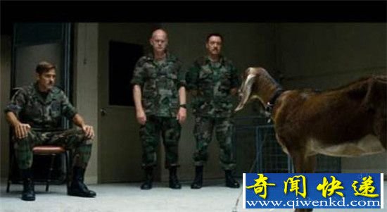 世界上最神秘的部队:通灵部队 能预知未来改写历史与死人对话?