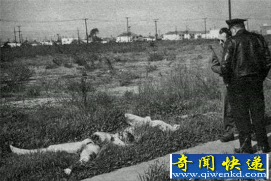 黑色大丽花惨案将拍纪录片 与蓝可儿死亡事件息息相关