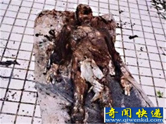 1995年成都僵尸事件大揭秘 僵尸疯狂咬人被火烧?