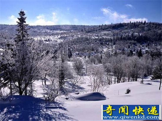 僵尸新娘 躺在你床边的冰冷尸体