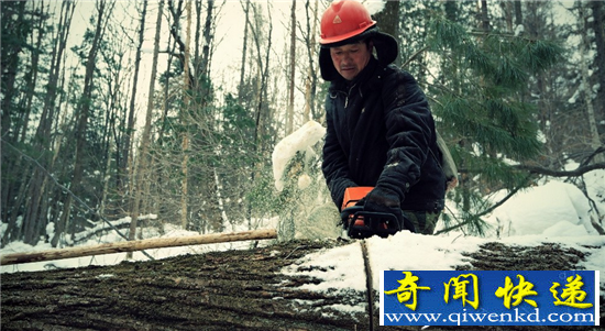 僵尸新娘 躺在你床边的冰冷尸体