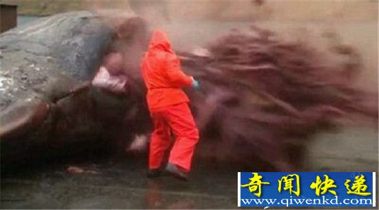 ���ӽ��ʾ޾� ����������һĻ�Ż���!