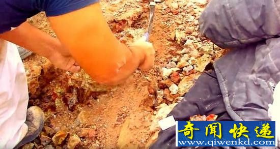 ����ɽ��Ѱ����Ȼ�����˱��أ�������