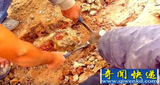 ����ɽ��Ѱ����Ȼ�����˱��أ�������