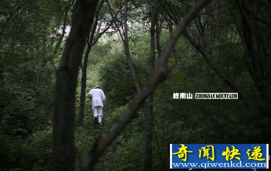 男子终南山探险却遇到了它?惊呆了