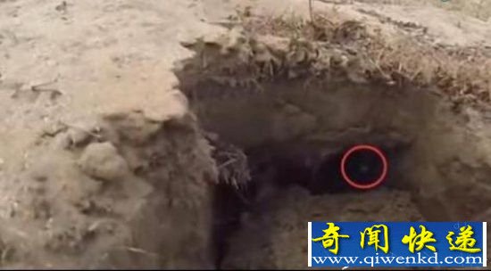 男子在山洞听遇见了这一幕 终身难忘!