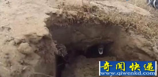 男子在山洞听遇见了这一幕 终身难忘!