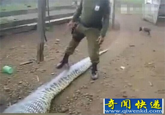 ���Ӳ���9�״����� �ʿ����Ӻ󾪴��ˣ�