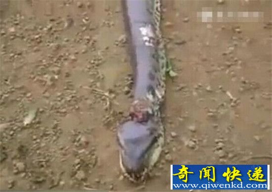 ���Ӳ���9�״����� �ʿ����Ӻ󾪴��ˣ�