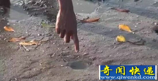 ���Ӻ��߷����������� ��Ȼ����������!