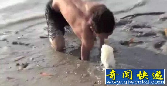 ���Ӻ��߷����������� ��Ȼ����������!