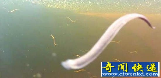 ������ˮ������ ��������ĵ�����!