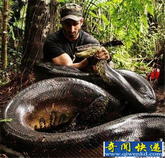 ���ӱ���������һ������ ���̫���ˣ�