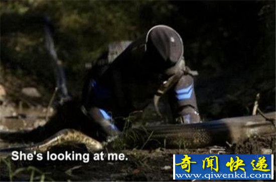 ���ӱ���������һ������ ���̫���ˣ�