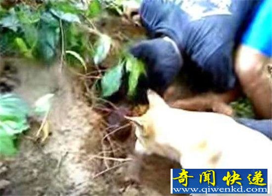 ����������Է�����һĻ ��ʱ��������!