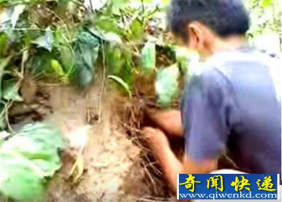 ����������Է�����һĻ ��ʱ��������!