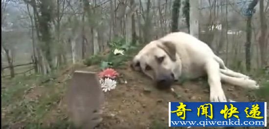 �����ڸ��׷�ǰ������һĻ ��ʱ������!