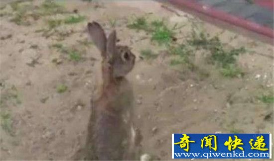 ������Ұ�ⷢ������� ��ֱ��������!