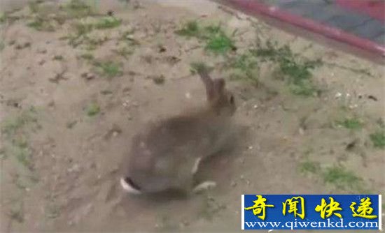 ������Ұ�ⷢ������� ��ֱ��������!