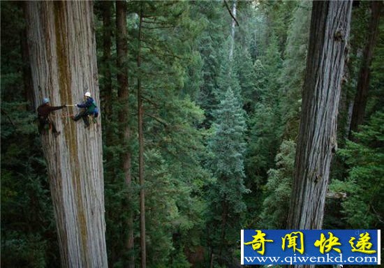 ����̽��ʱ���㵽�Ļ�����Ƭ �ŵ��ȶ�����!