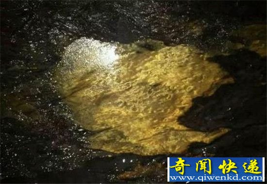 男子野外夜钓竟一夜暴富 结果令人震惊!
