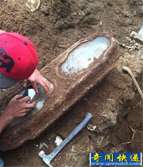 ���������񵽸����� ��֮��������!