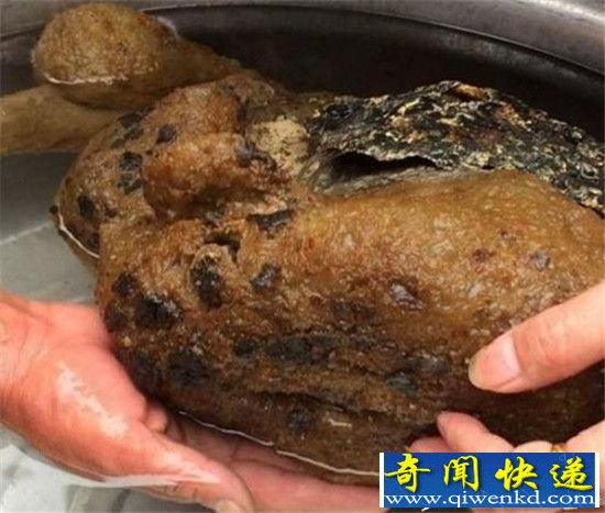 ������������������� ����ǧ���䱦��!