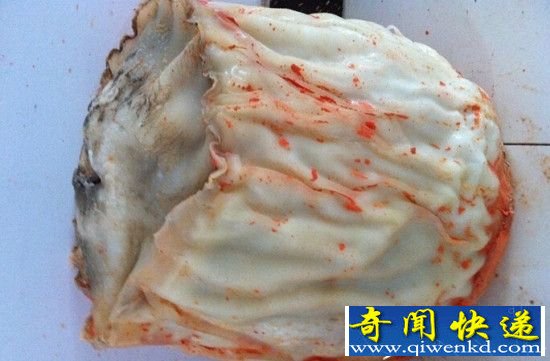 ������������������� ����ǧ���䱦��!