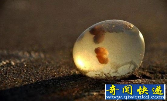 ������ɳ̲�Ϸ���͸���� �򿪺�������!