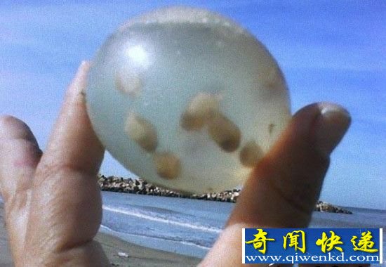 ������ɳ̲�Ϸ���͸���� �򿪺�������!