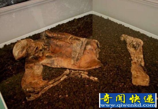 ���������󴦷��־�ʬ�� ֪�����౻����!