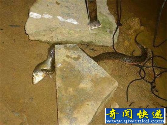 �������ϵ����ߵ��� �������𾪵�һĻ!