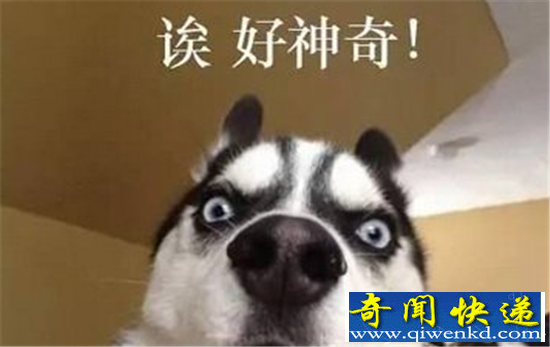 百度黑洞特效被玩坏 为什么百度黑洞有特效?