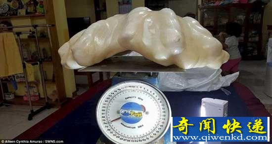 菲律宾发现世界最大珍珠:我们要靠它征服世界