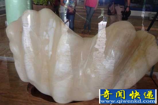 菲律宾发现世界最大珍珠:我们要靠它征服世界