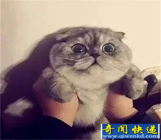 男人洗澡会变聪明 女人洗澡会变成什么样子?