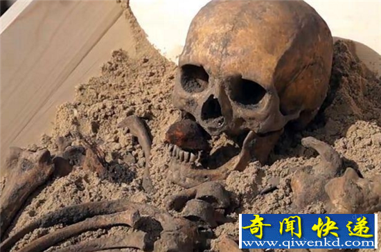 500年前“吸血鬼”遗骸曝光 口含石块腿插木棍