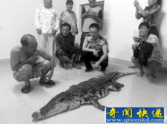 ����һ����ӹ��ﲶ�㾹Ȼ����������