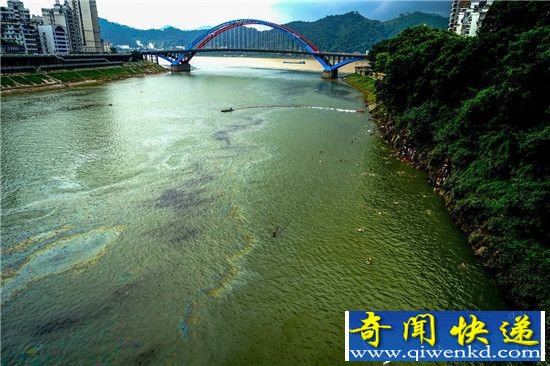 广西桂江被大片油污污染 市民竟带孩子游泳
