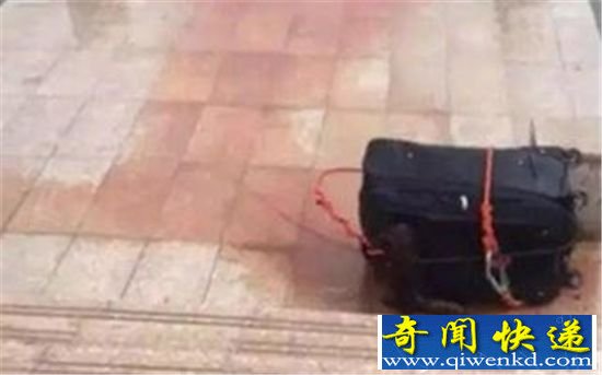 安徽4少年抢劫"黑车"司机 杀人沉尸