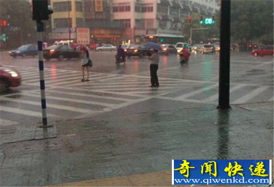 【奇案】雨夜出租车 劫匪逞凶劫掠老司机现杀意