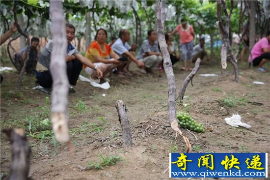 �������ز�Ǩ ��������ý��������������� 