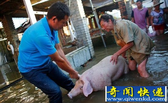 Т�к�ˮ�������������� ǧͷ�������ߴ��