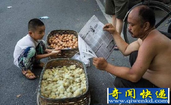 无锡地面温度超50度 小贩当街孵小鸡